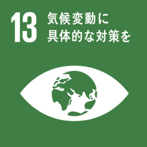 SDGs13